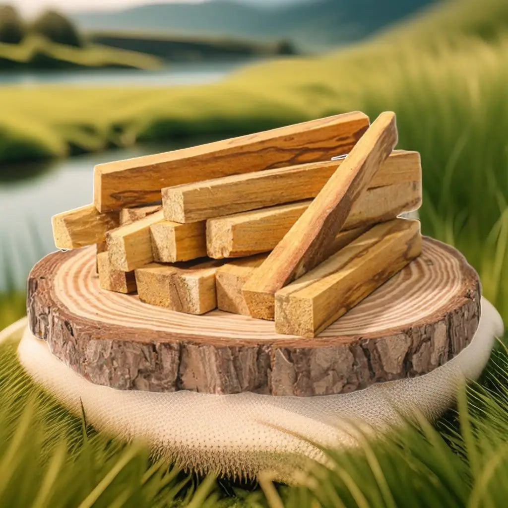 Palo Santo Incense Sticks (10pcs)